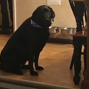 Meet your Posher, Jenn